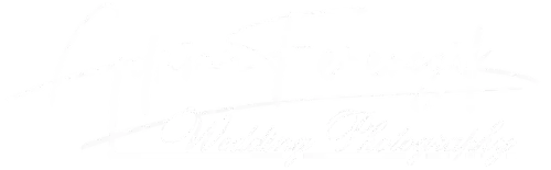 light logo