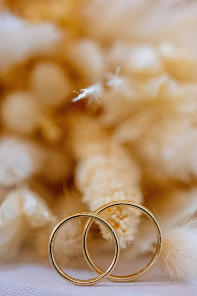 Romana & Alexander Highlights-111