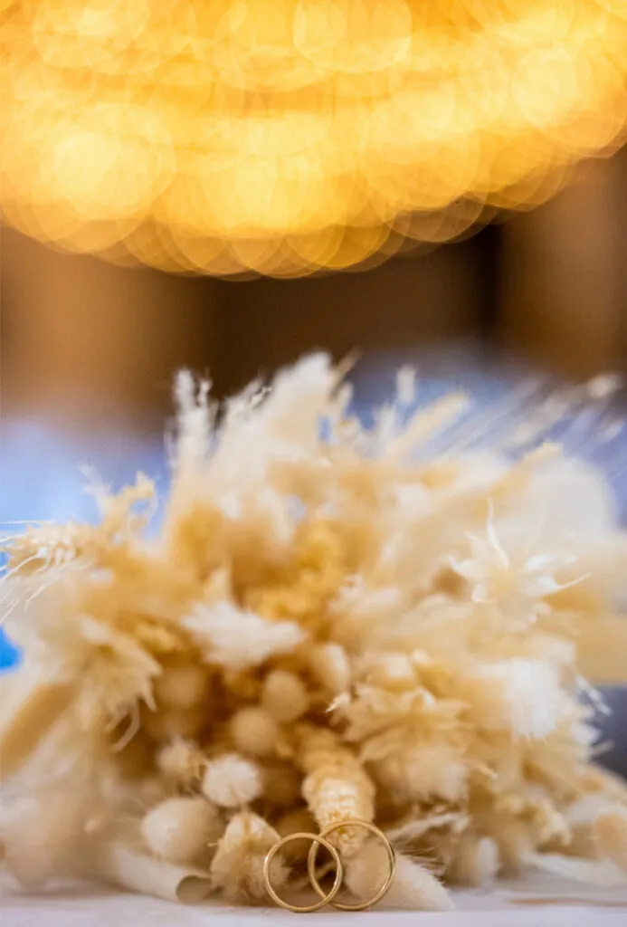 Romana & Alexander Highlights-114