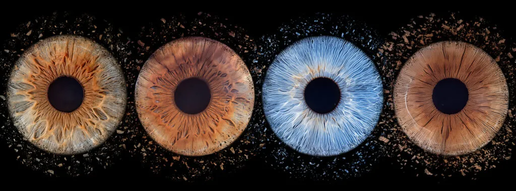 iris fotografie ternitz