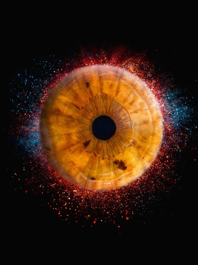 iris fotografie ternitz