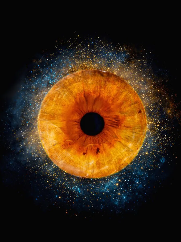 iris fotografie wimpassing