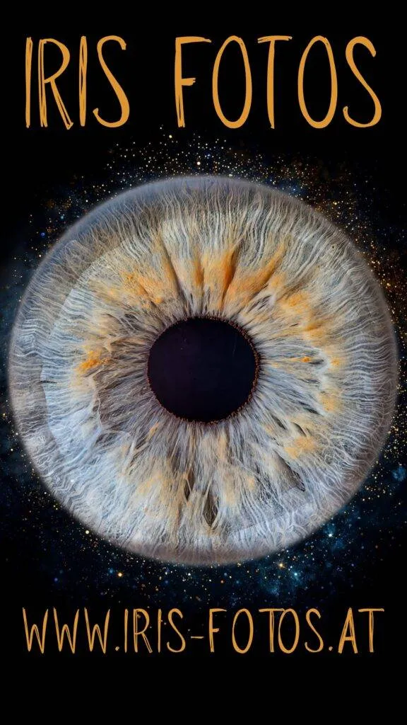 iris fotografie ternitz
