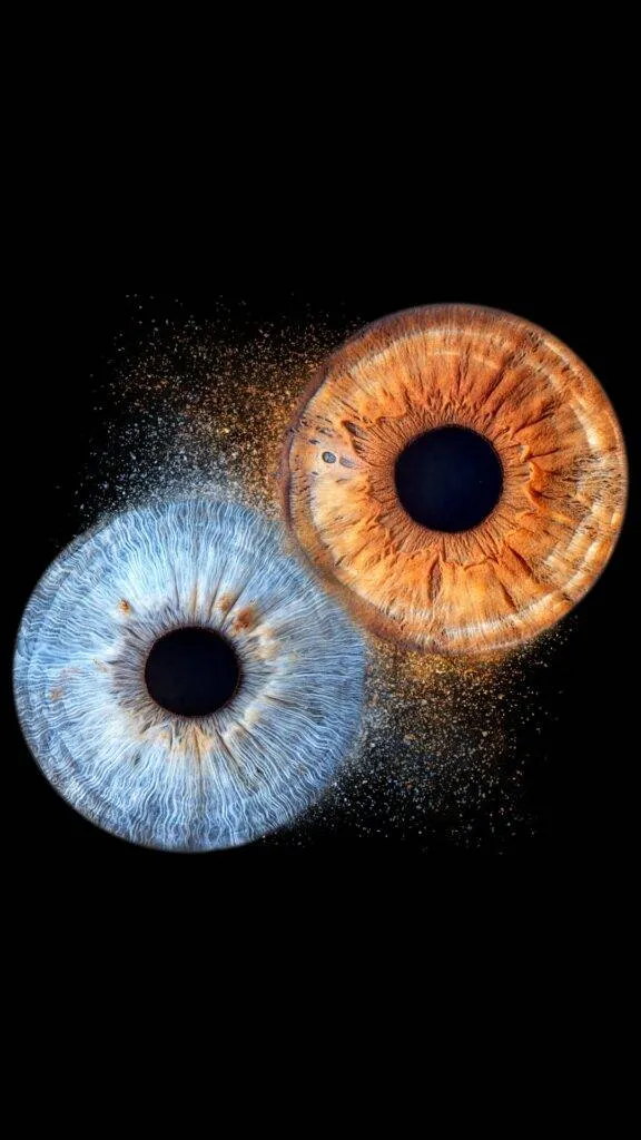 iris fotografie ternitz