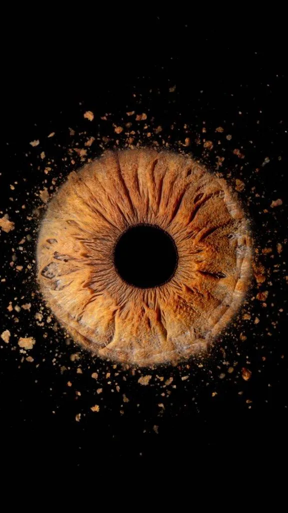 iris fotografie ternitz