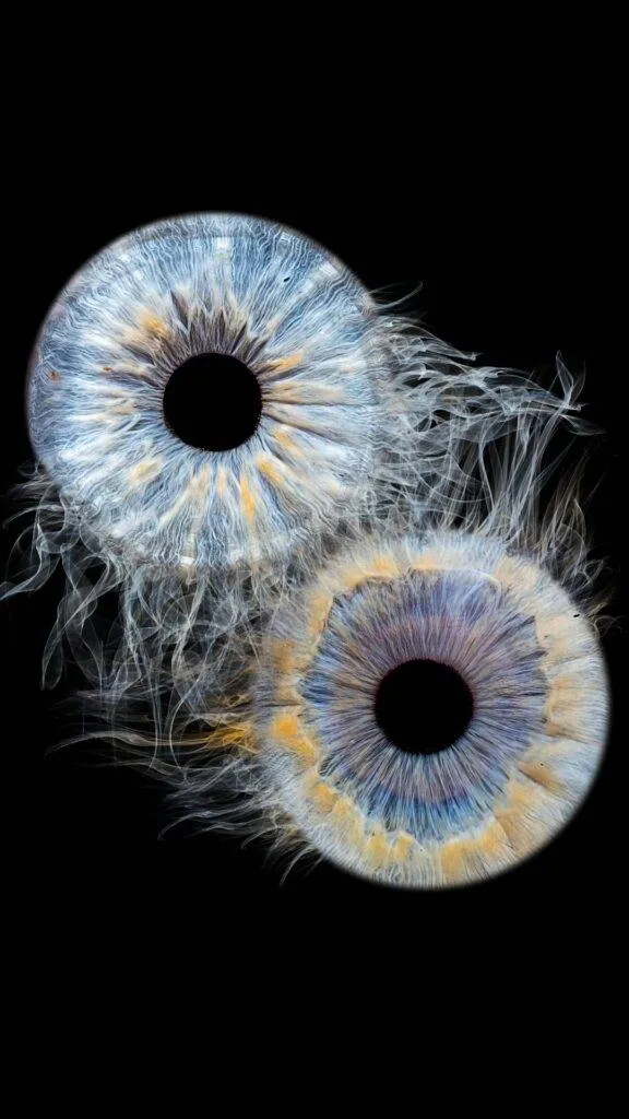 iris fotografie neunkirchen ternitz 1