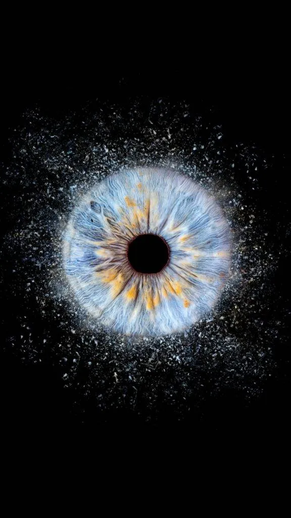 iris fotografie neunkirchen ternitz 3