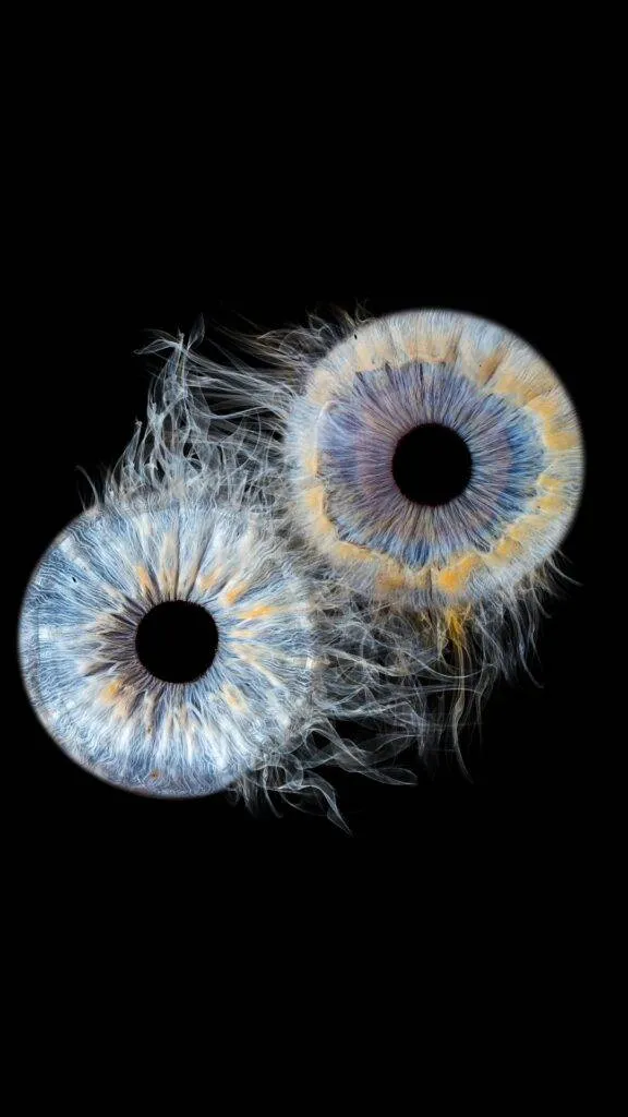 iris fotografie neunkirchen ternitz 4